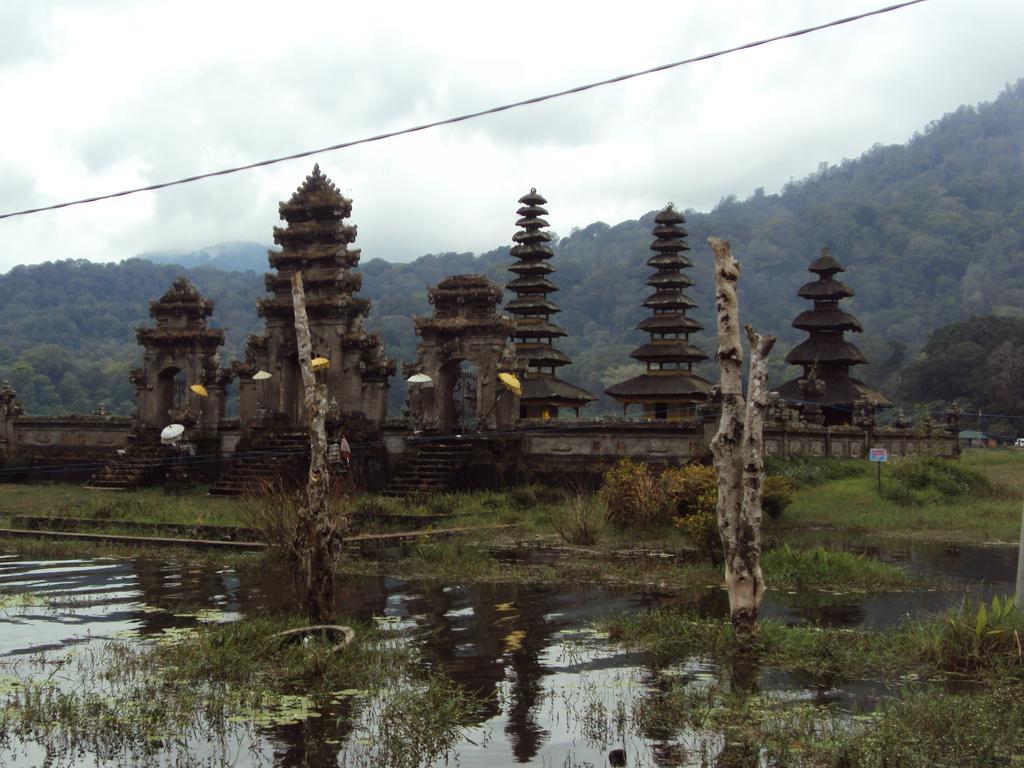 Made Homestay Munduk Экстерьер фото